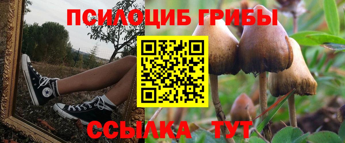 Псилоцибиновые грибы ЛСД  Псилоцибиновые грибы Magic Shrooms  Вход с VPN  Жигулёвск 